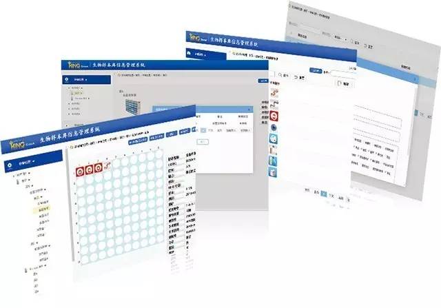 1487741338362826.jpg 12.jpg