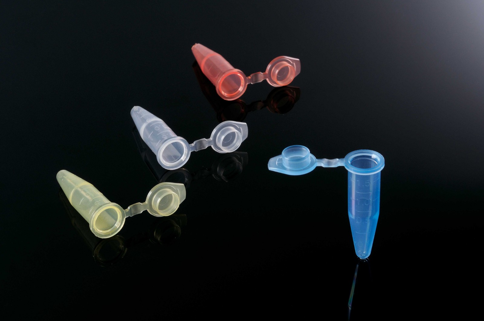 1628668345543554.jpg 合影-3.jpg