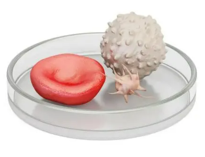 1667792446788668.png 微信图片_20221107105005.png