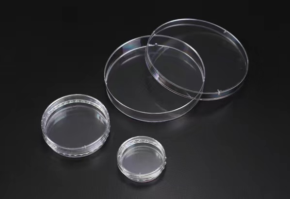 1667792705224829.jpg 3D Cell Floater Dish(超低吸附3D培养皿).jpg