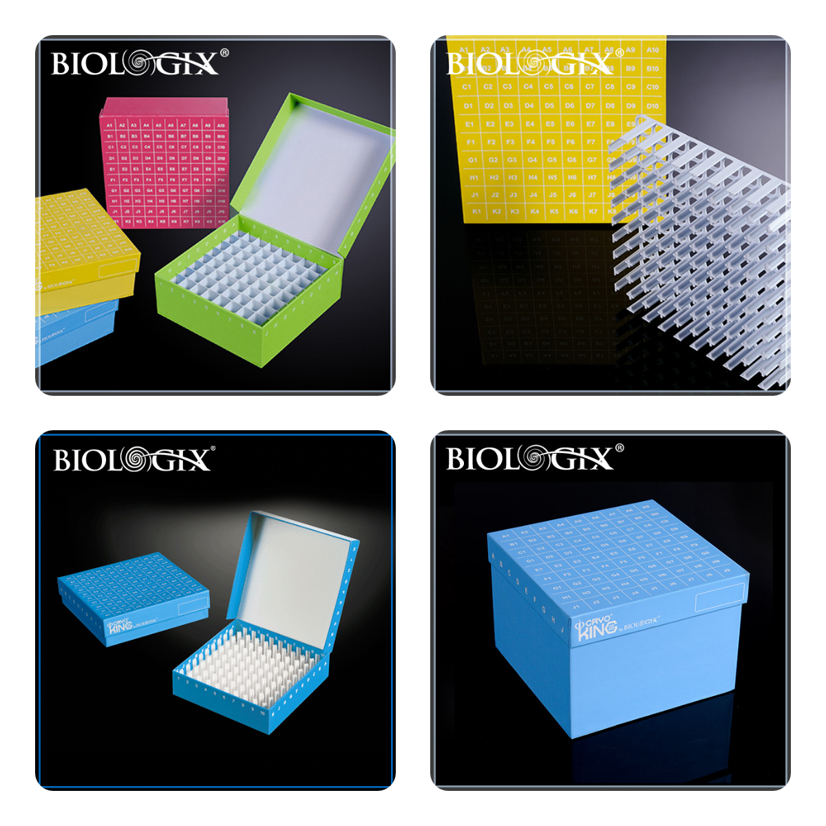 1668697549115255.png 迅捷图片转换器-20221117-1668697512120.png