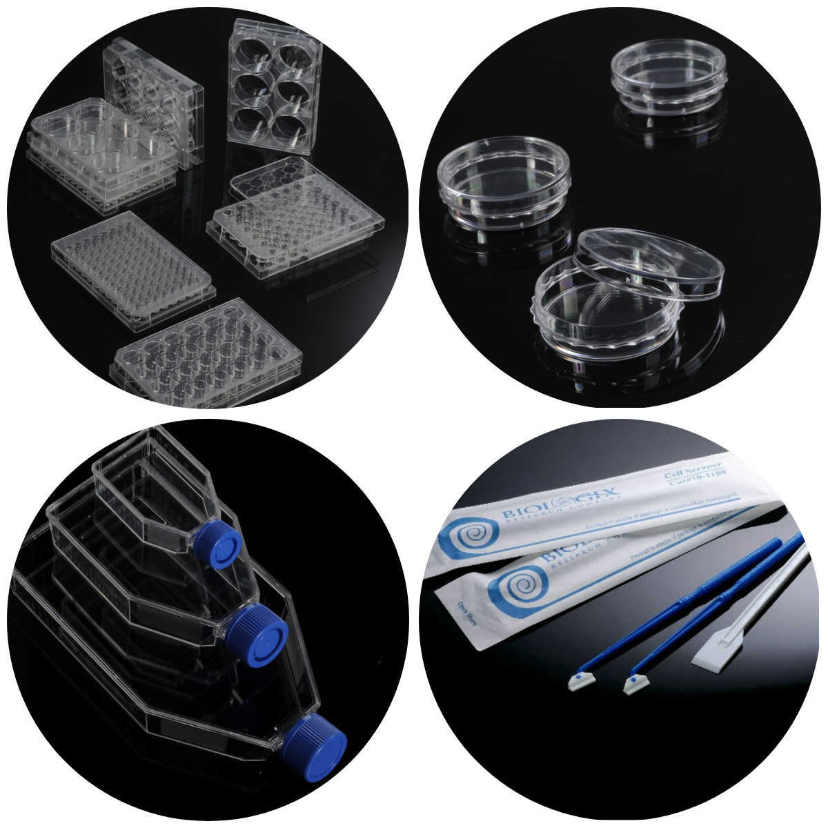 1670811064894475.png 1670811064894475.png