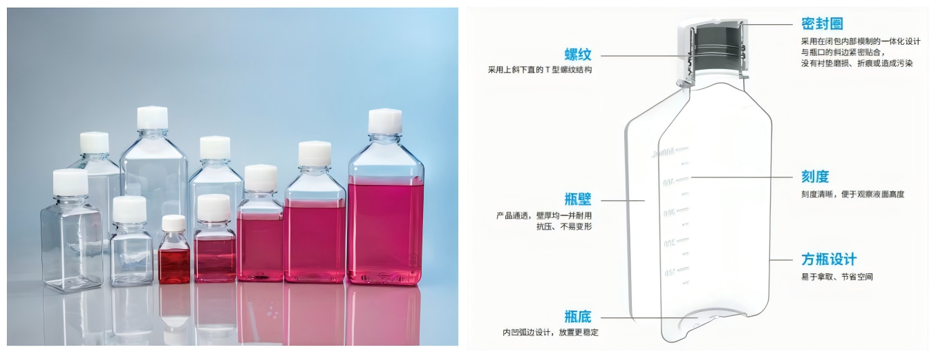 1745977933655973.png WPS拼图0.png