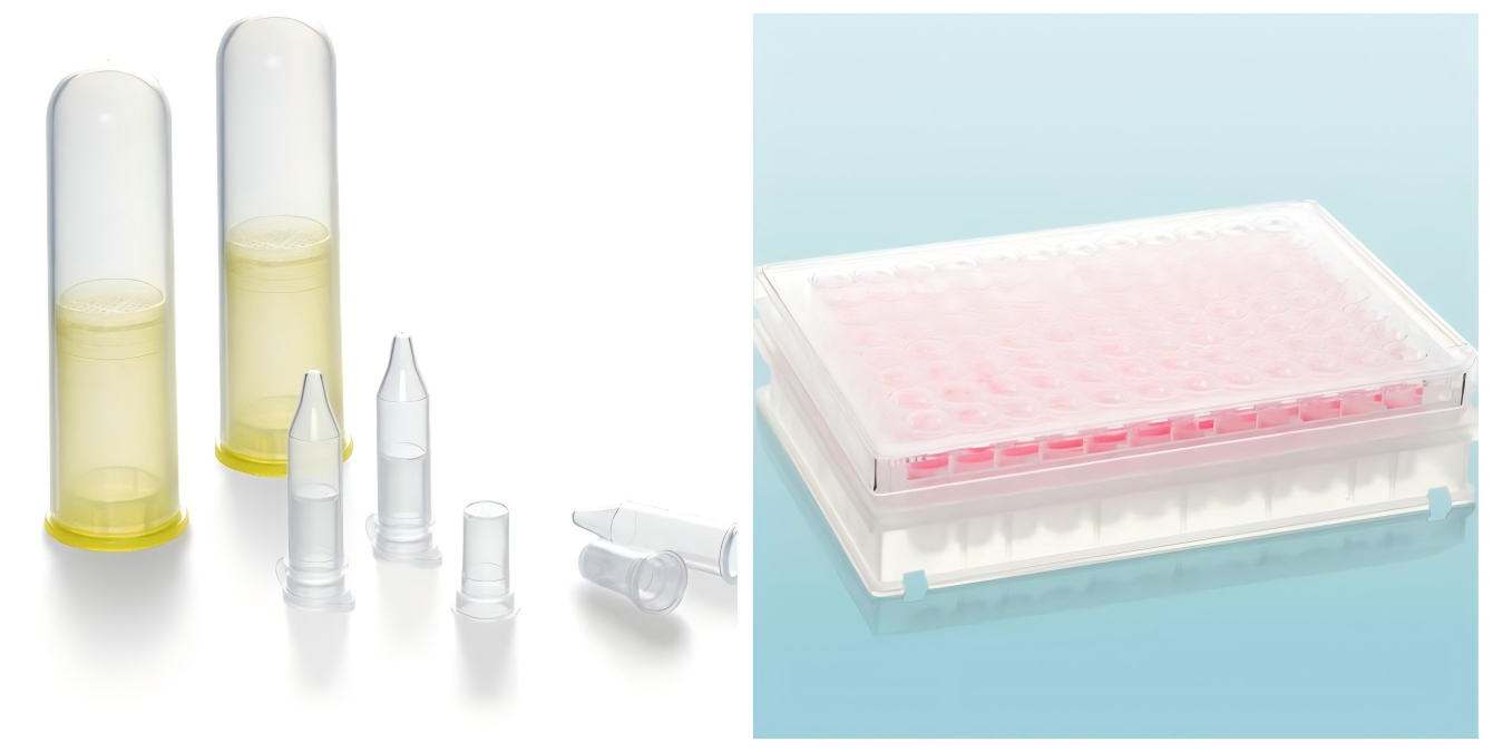 1745978172239655.png WPS拼图1.png