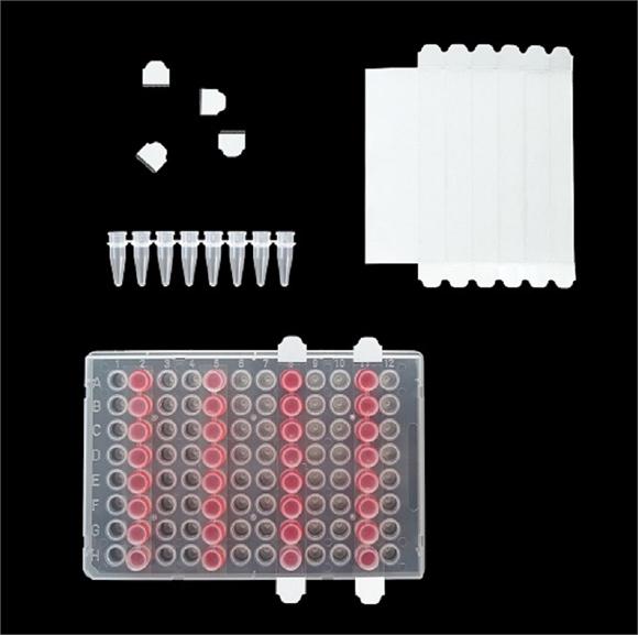 EZcap PCR 封膜条